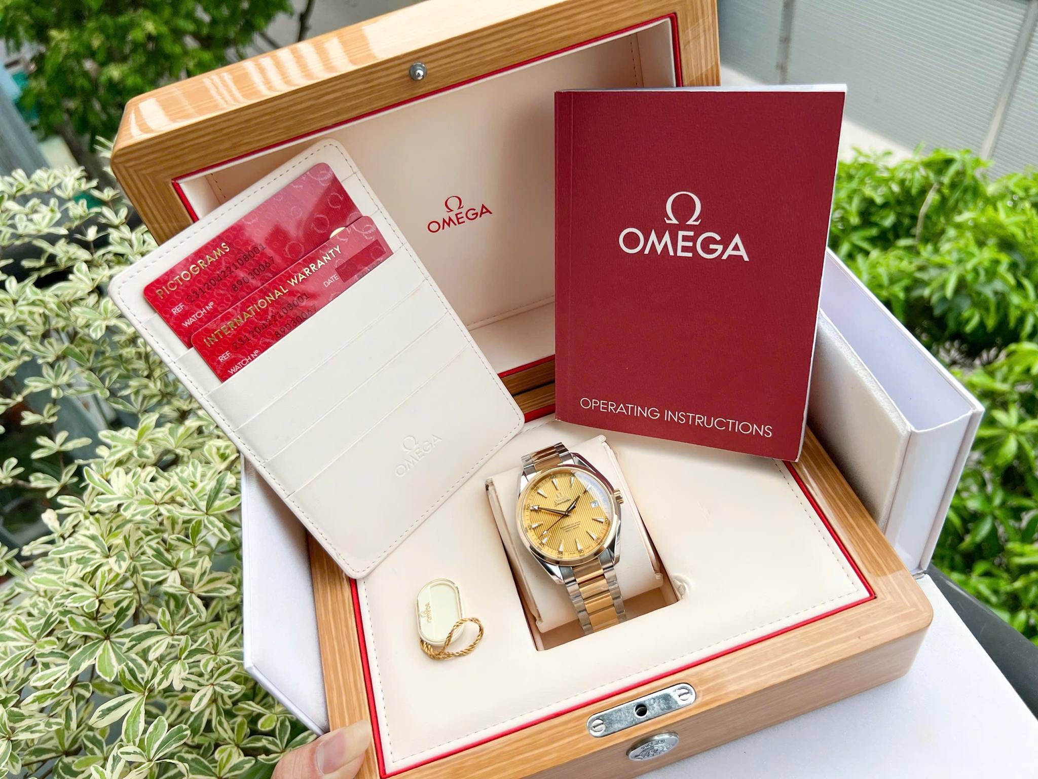OMEGA SEAMASTER AQUA TERRA 231.20.42.21.08.001