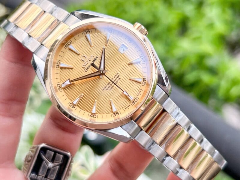 OMEGA SEAMASTER AQUA TERRA 231.20.42.21.08.001